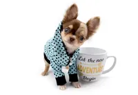 processed/4ad92166-e4cc-4ccf-889b-9c1a3df91fd9/facility/6ee0cfd4-fe92-4b0f-a411-c2408ee4deae