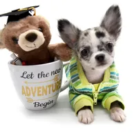 processed/4ad92166-e4cc-4ccf-889b-9c1a3df91fd9/facility/758f58f2-5146-4a8c-892e-2366ce164ece