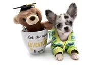 processed/4ad92166-e4cc-4ccf-889b-9c1a3df91fd9/facility/758f58f2-5146-4a8c-892e-2366ce164ece