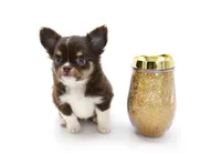 processed/4ad92166-e4cc-4ccf-889b-9c1a3df91fd9/facility/80d173fe-f3ff-406b-bde4-ea12716f562c