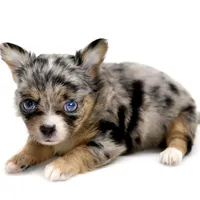 processed/4ad92166-e4cc-4ccf-889b-9c1a3df91fd9/facility/a5df5a72-597a-4ced-a512-43faa7c7aa07