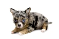 processed/4ad92166-e4cc-4ccf-889b-9c1a3df91fd9/facility/a5df5a72-597a-4ced-a512-43faa7c7aa07