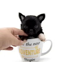 processed/4ad92166-e4cc-4ccf-889b-9c1a3df91fd9/facility/c316f817-ece1-4703-b1e6-04d65e65a668