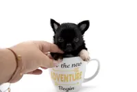 processed/4ad92166-e4cc-4ccf-889b-9c1a3df91fd9/facility/c316f817-ece1-4703-b1e6-04d65e65a668