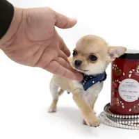 processed/4ad92166-e4cc-4ccf-889b-9c1a3df91fd9/facility/daa1b116-bf40-4fea-87e5-dbd79d9dd2c3