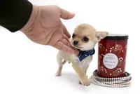 processed/4ad92166-e4cc-4ccf-889b-9c1a3df91fd9/facility/daa1b116-bf40-4fea-87e5-dbd79d9dd2c3