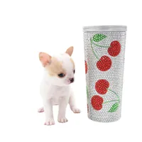 Mila, a female Chihuahua for sale in Orlando, FL – Photo 7 of 8