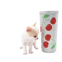 Mila, a female Chihuahua for sale in Orlando, FL – Photo 6 of 8