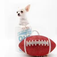 LEONIDAS, a male Chihuahua for sale in Orlando, FL – Photo 6 of 6