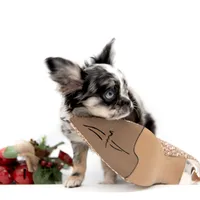 LuluS, a female Chihuahua for sale in Orlando, FL – Photo 5 of 8