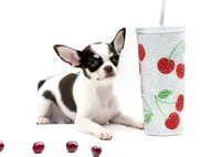 processed/4ad92166-e4cc-4ccf-889b-9c1a3df91fd9/listing/3ba1544e-32c1-434f-b160-57ebc7cc3354/0d0448dd-e32d-4705-bc40-0312e0221daa