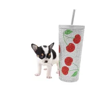 Marcos, a male Chihuahua for sale in Orlando, FL – Photo 3 of 8