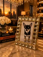 Noe, a female Chihuahua for sale in Orlando, FL – 6 of 6