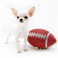 LAYLA, a female Chihuahua for sale in Orlando, FL – Photo 3 of 4