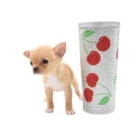 moira, a female Chihuahua for sale in Orlando, FL – Photo 4 of 7