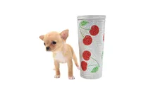 moira, a female Chihuahua for sale in Orlando, FL – Photo 4 of 7