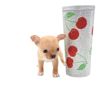 moira, a female Chihuahua for sale in Orlando, FL – Photo 6 of 7