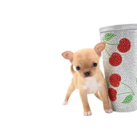 moira, a female Chihuahua for sale in Orlando, FL – Photo 3 of 7