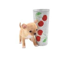 moira, a female Chihuahua for sale in Orlando, FL – Photo 2 of 7