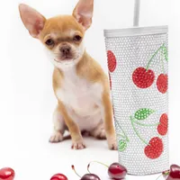 Missy, a female Chihuahua for sale in Orlando, FL – Photo 3 of 3