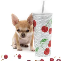 Missy, a female Chihuahua for sale in Orlando, FL – Photo 1 of 3