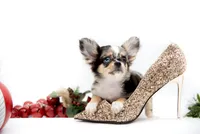 processed/4ad92166-e4cc-4ccf-889b-9c1a3df91fd9/listing/98e9462c-0fab-40f4-a8ca-047d0e1cd592/1435ecb0-9d6f-4846-8be1-9c314fe9eea4