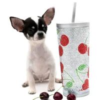 SC Boy, a male Chihuahua for sale in Orlando, FL – Photo 2 of 2