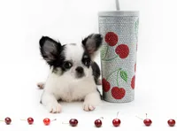 processed/4ad92166-e4cc-4ccf-889b-9c1a3df91fd9/listing/a8a286b5-86f0-4bef-b2b1-177659afe151/95ac6a30-2e82-4cad-824a-b355c1f0e494