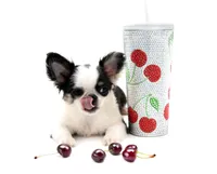 processed/4ad92166-e4cc-4ccf-889b-9c1a3df91fd9/listing/a8a286b5-86f0-4bef-b2b1-177659afe151/9dc81ada-b964-4661-a0b0-d2f93d970dca