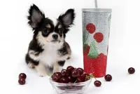 processed/4ad92166-e4cc-4ccf-889b-9c1a3df91fd9/listing/c0df35ad-0e0e-4916-9ed8-5a1ba662c2ef/3a875b06-52ef-4853-859d-21e3292867f3