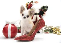 processed/4ad92166-e4cc-4ccf-889b-9c1a3df91fd9/listing/e36f9ab4-9b28-4f9b-b9f1-4858566226d4/526e5c59-c93d-451e-afed-4ffc961fa2bc