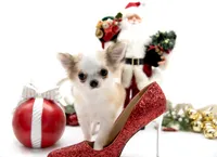 processed/4ad92166-e4cc-4ccf-889b-9c1a3df91fd9/listing/e36f9ab4-9b28-4f9b-b9f1-4858566226d4/5f7823a8-5476-4d4f-9b76-1380123efc30