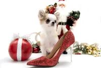 processed/4ad92166-e4cc-4ccf-889b-9c1a3df91fd9/listing/e36f9ab4-9b28-4f9b-b9f1-4858566226d4/f702a571-1737-448a-a584-b414006d8864