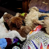 processed/4ada4978-4375-47aa-9b99-e396e652a659/facility/1d6bb743-ec8d-4458-aeed-abdd159f6526