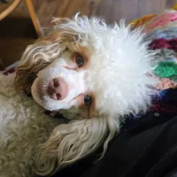 processed/4ada4978-4375-47aa-9b99-e396e652a659/facility/3051a48b-f97b-47b3-868f-cf5807d3a7a7