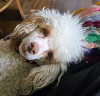 processed/4ada4978-4375-47aa-9b99-e396e652a659/facility/3051a48b-f97b-47b3-868f-cf5807d3a7a7