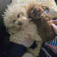 processed/4ada4978-4375-47aa-9b99-e396e652a659/facility/3f61ce8a-f2f9-425c-a931-d5a8584c426f