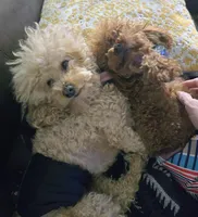 processed/4ada4978-4375-47aa-9b99-e396e652a659/facility/3f61ce8a-f2f9-425c-a931-d5a8584c426f