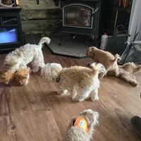 processed/4ada4978-4375-47aa-9b99-e396e652a659/facility/6ae3cd95-b278-466e-ad27-f5bb101f4226