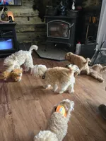 processed/4ada4978-4375-47aa-9b99-e396e652a659/facility/6ae3cd95-b278-466e-ad27-f5bb101f4226