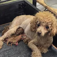 processed/4ada4978-4375-47aa-9b99-e396e652a659/facility/8c5020a8-14bb-4c80-8457-0281a1cd403e