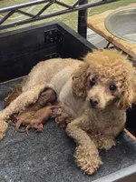 processed/4ada4978-4375-47aa-9b99-e396e652a659/facility/8c5020a8-14bb-4c80-8457-0281a1cd403e