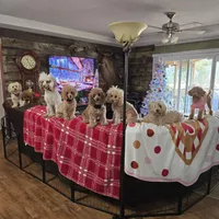 processed/4ada4978-4375-47aa-9b99-e396e652a659/facility/ac5a7be7-f9e9-41ef-87c9-c03b37ef446f