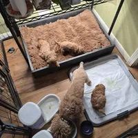 processed/4ada4978-4375-47aa-9b99-e396e652a659/facility/fdda7cc8-25e8-46ec-9be5-896dde7de9f9