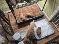 processed/4ada4978-4375-47aa-9b99-e396e652a659/facility/fdda7cc8-25e8-46ec-9be5-896dde7de9f9