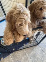 processed/4adb4224-fc1c-4573-b27a-51ac5e453fba/facility/02c03f35-53c4-4f0c-94b0-4f5abdbc6308