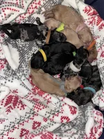 processed/4adb4224-fc1c-4573-b27a-51ac5e453fba/facility/250aa97b-2194-4a7e-a600-4d097c5c476f