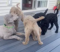 processed/4adb4224-fc1c-4573-b27a-51ac5e453fba/facility/e6c4e45c-f3e0-4193-98d2-0dbe90d05384