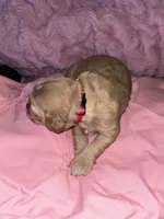 processed/4adb4224-fc1c-4573-b27a-51ac5e453fba/listing/264ab19c-b027-44a4-8ea8-9594ff3ae125/b28e214c-96dd-4e3e-9842-b54171f6869e