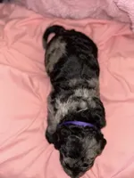 processed/4adb4224-fc1c-4573-b27a-51ac5e453fba/listing/45c9f536-1263-4c6f-9597-09d95904cda3/6c1b2890-cee8-4421-aa80-f973de43a30d